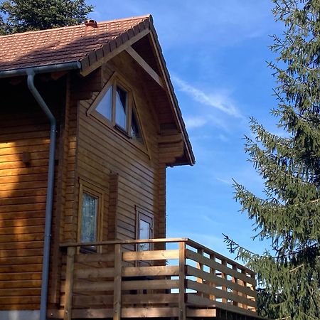 Chalet Authentique Au Calme, En Lisiere De Foret, Montagne, Sentiers 15Mn Gerardmer & Alsace "Chalet Mon Beau Sapin" Anould Экстерьер фото