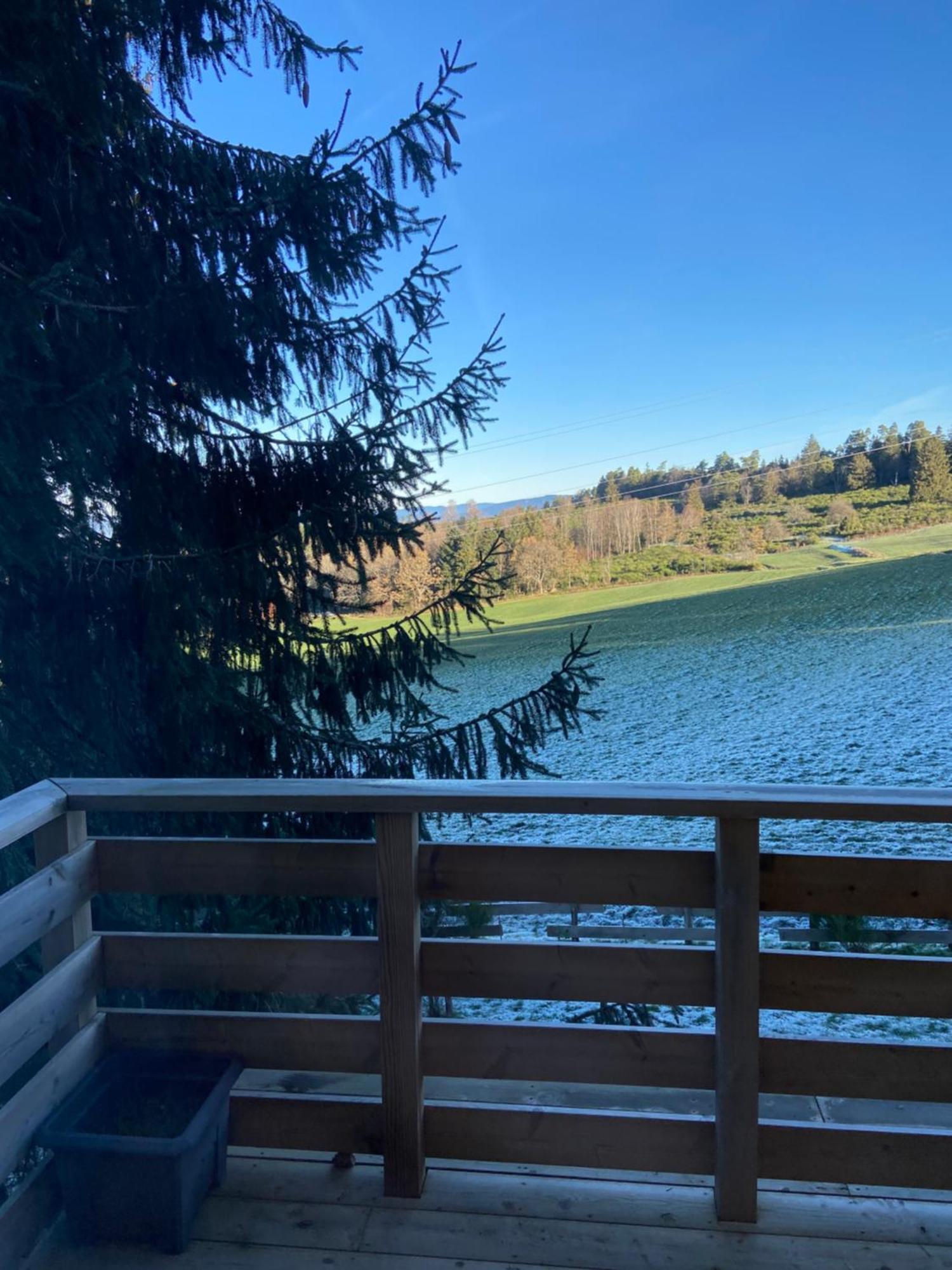 Chalet Authentique Au Calme, En Lisiere De Foret, Montagne, Sentiers 15Mn Gerardmer & Alsace "Chalet Mon Beau Sapin" Anould Экстерьер фото