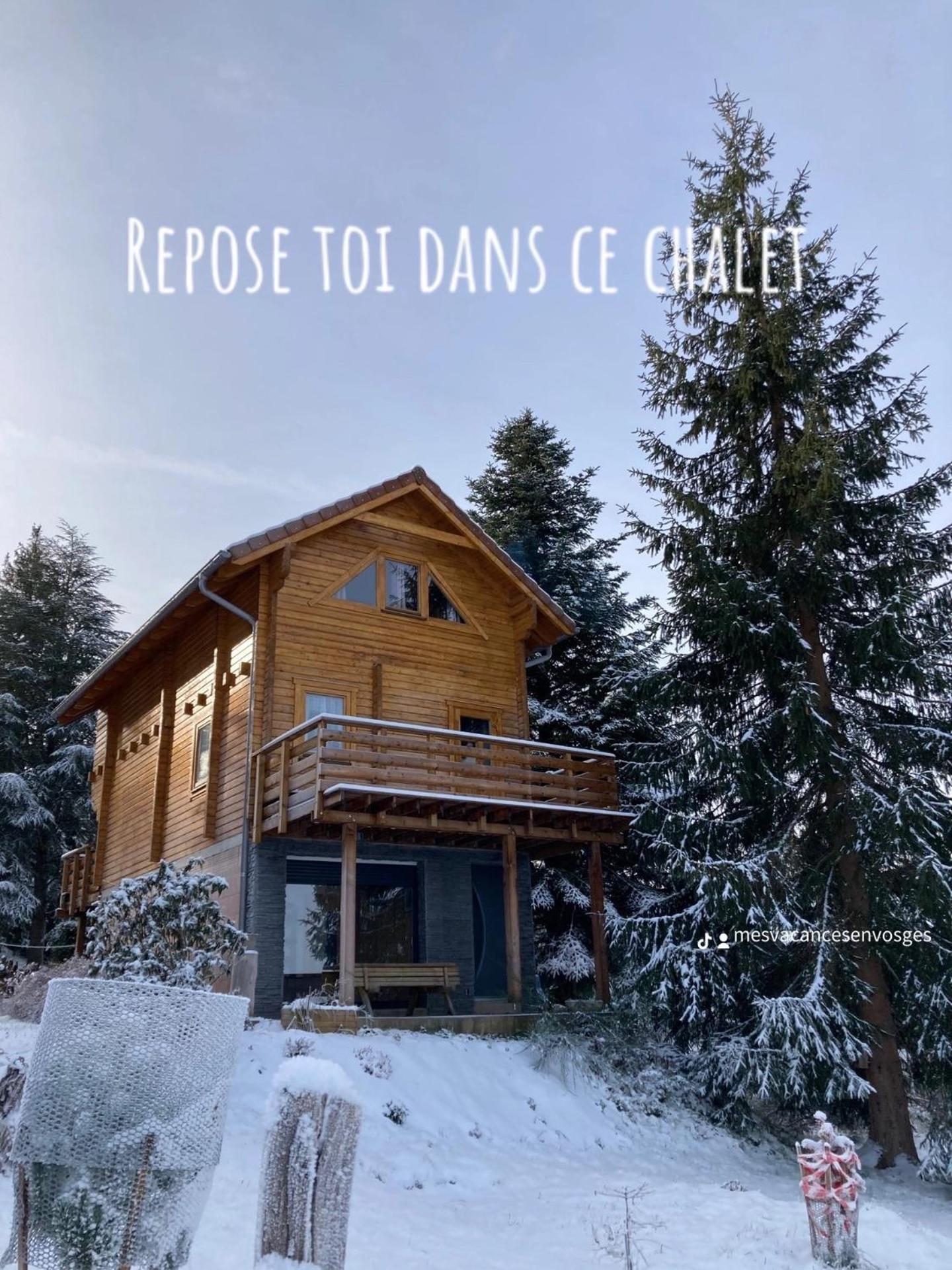 Chalet Authentique Au Calme, En Lisiere De Foret, Montagne, Sentiers 15Mn Gerardmer & Alsace "Chalet Mon Beau Sapin" Anould Экстерьер фото