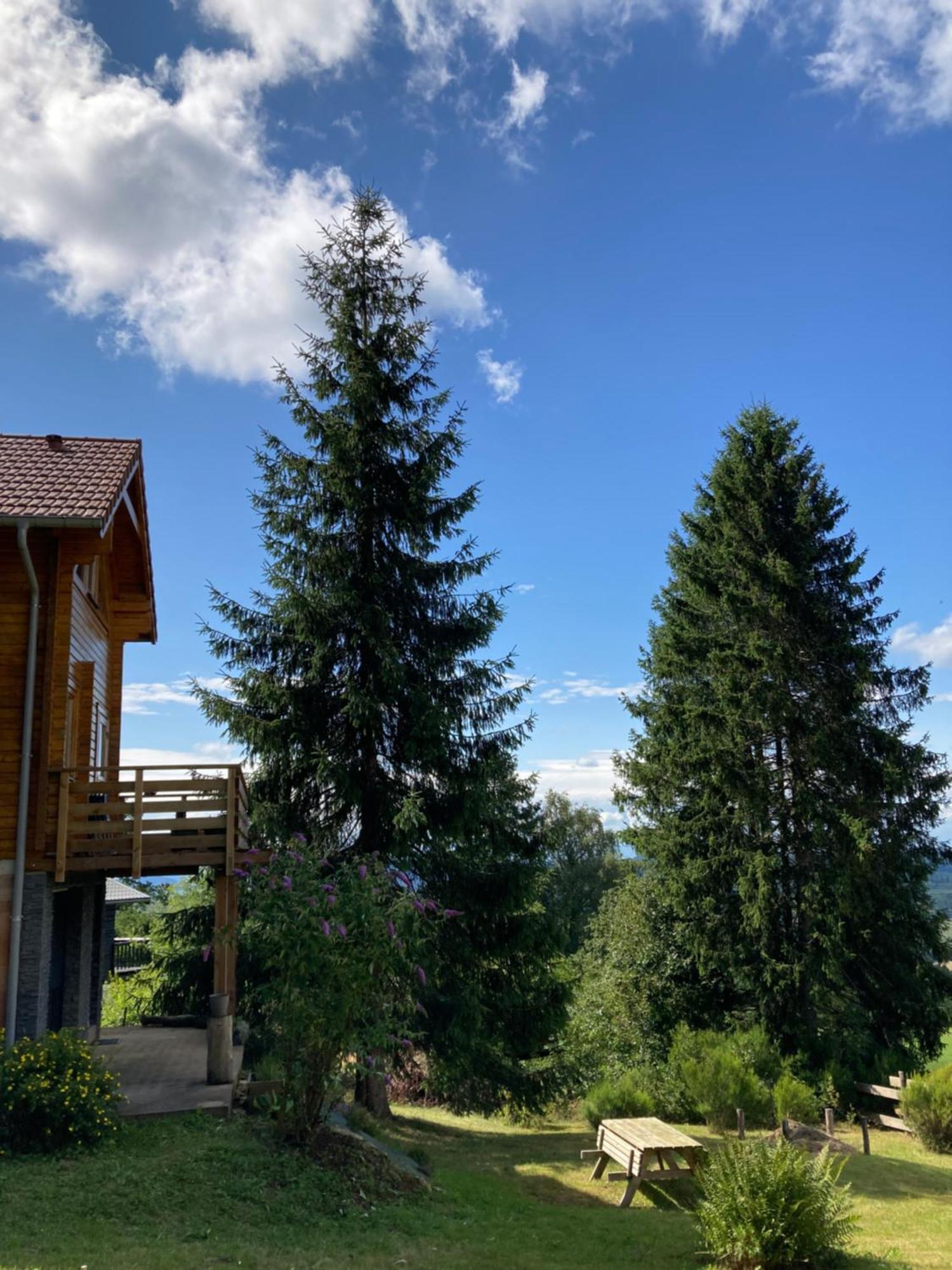 Chalet Authentique Au Calme, En Lisiere De Foret, Montagne, Sentiers 15Mn Gerardmer & Alsace "Chalet Mon Beau Sapin" Anould Экстерьер фото