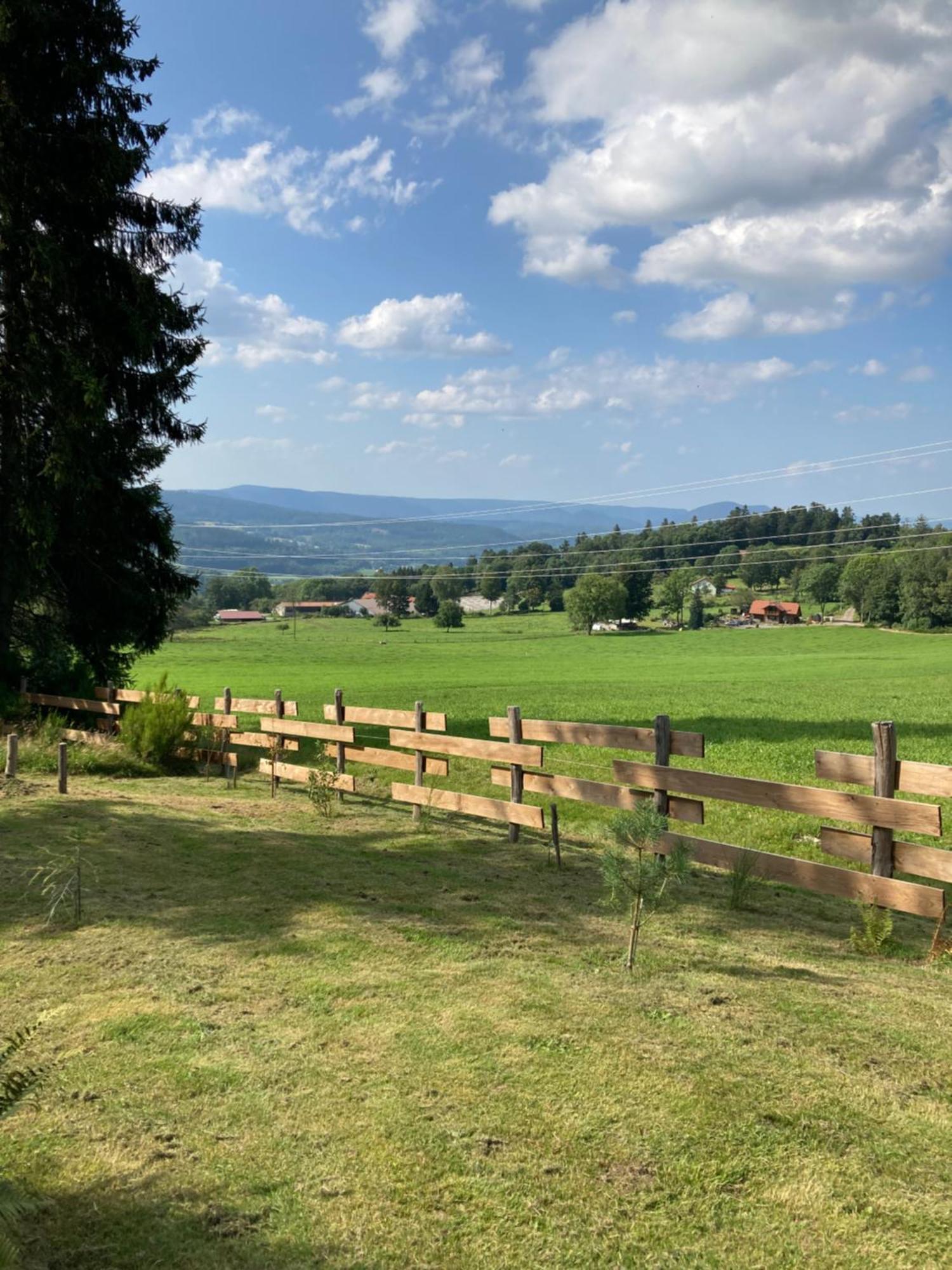 Chalet Authentique Au Calme, En Lisiere De Foret, Montagne, Sentiers 15Mn Gerardmer & Alsace "Chalet Mon Beau Sapin" Anould Экстерьер фото