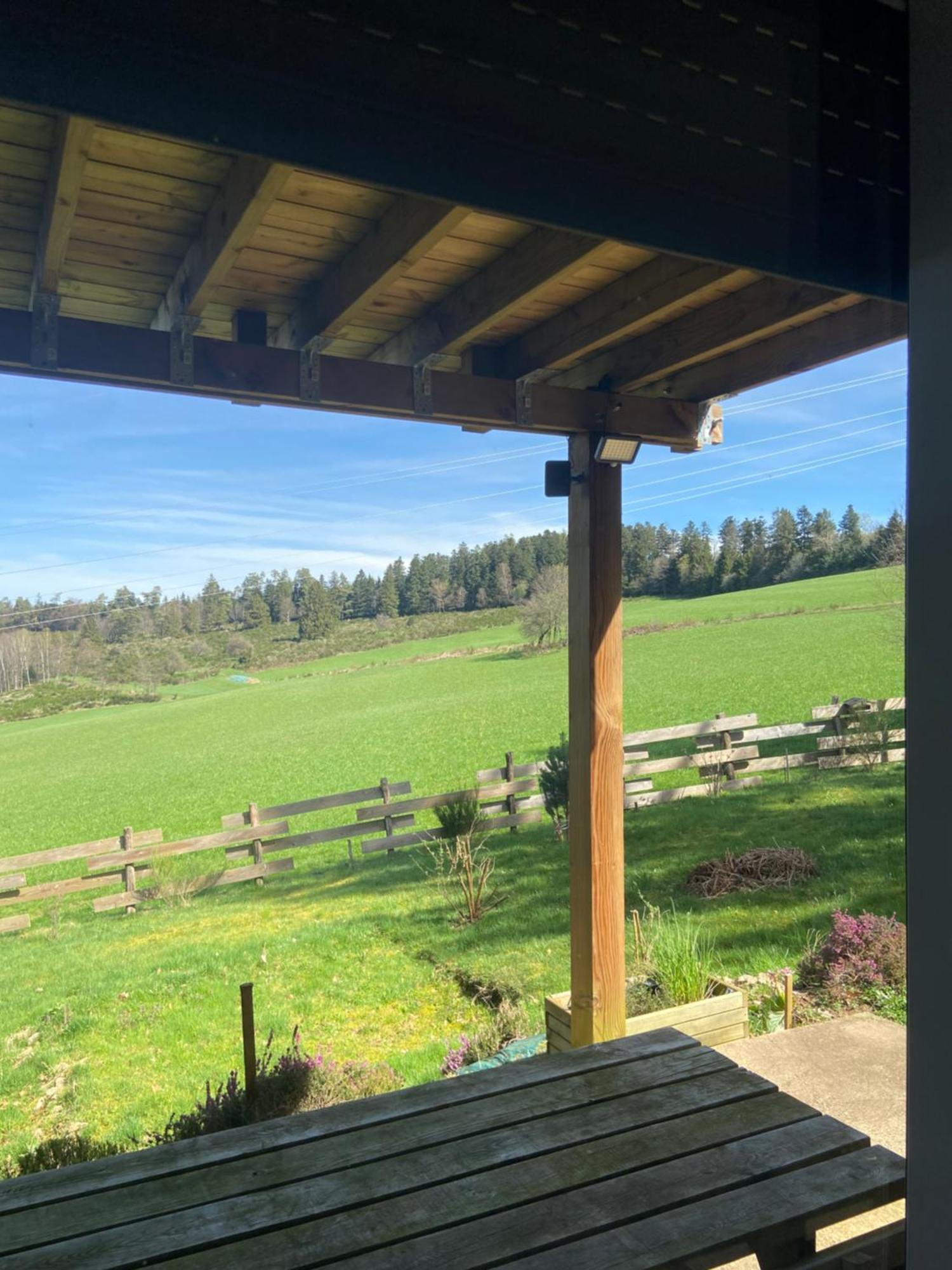 Chalet Authentique Au Calme, En Lisiere De Foret, Montagne, Sentiers 15Mn Gerardmer & Alsace "Chalet Mon Beau Sapin" Anould Экстерьер фото