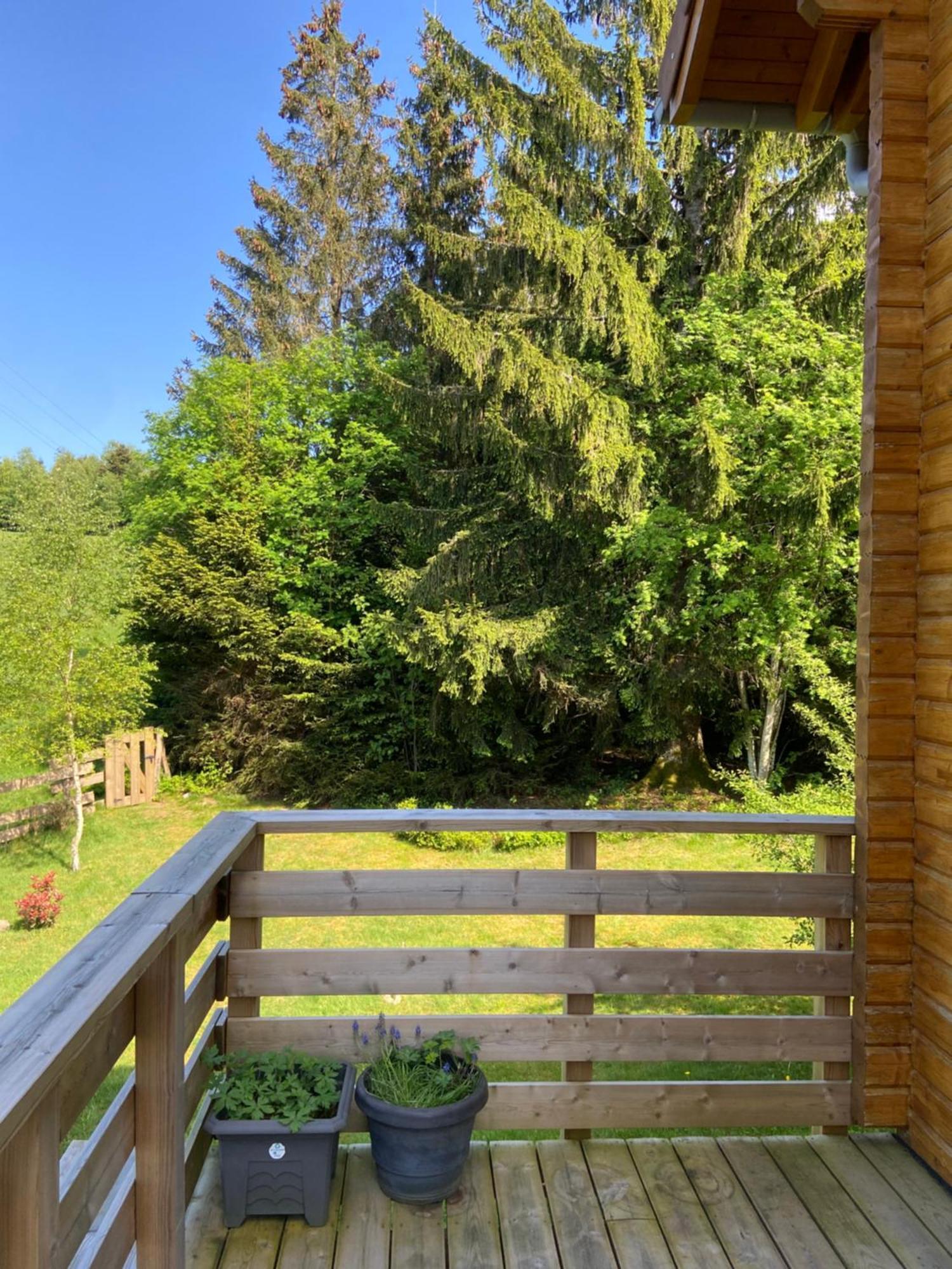Chalet Authentique Au Calme, En Lisiere De Foret, Montagne, Sentiers 15Mn Gerardmer & Alsace "Chalet Mon Beau Sapin" Anould Экстерьер фото
